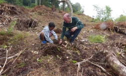 1 000 arbres de plus à La Réunion