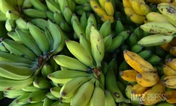 bananes