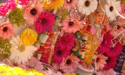 Cavadee de Saint-Denis