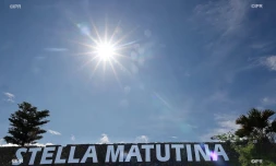 Musée Stella 