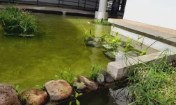 Bassin zen Lislet Geoffroy