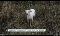 Chien sauvé avec un drone et une saucisse