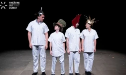 La logique impertubable du fou