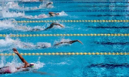 Championnat de natation de La Réunion