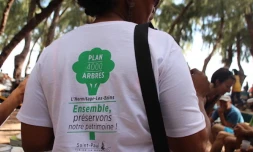 Planter des arbres à l'Hermitage