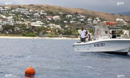 Cap Requins Roches Noires