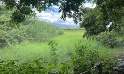 incendie étang saint paul