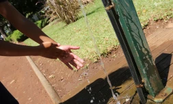 Eau 