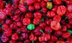 légumes et fruits