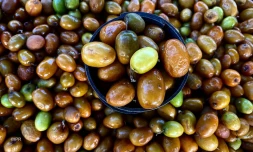Fruits et légumes