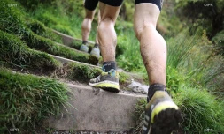 trail 