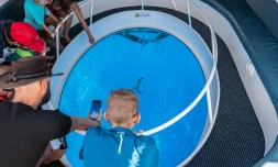 Pour les vacances, essayez le bateau avec fond en verre