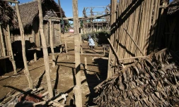 Madagascar