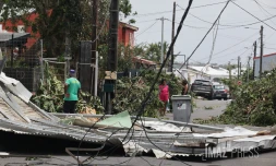 Garance : La Réunion, l'île en phase de sauvegarde