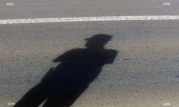 Gendarme 