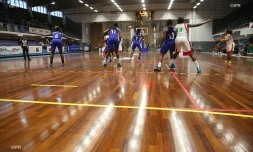 basket