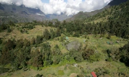 paysages 