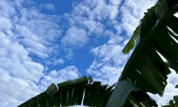 météo nuages