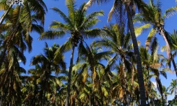 paysages 