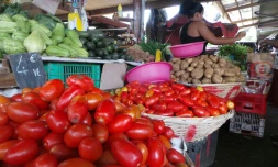 Petit marché de Saint-Denis