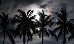 paysages 