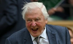Le naturaliste britannique David Attenborough au tournoi de tennis de Wimbledon, le 1er juillet 2024