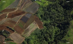 agriculture 