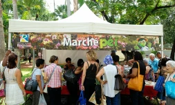 Marchés producteurs 