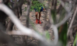 Grand Raid 2017 - Trail de Bourbon