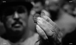 manifestation planteurs 