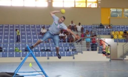 Ligue Réunionnaise de Tchoukball