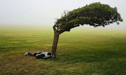rencontre avec pieter hugo 