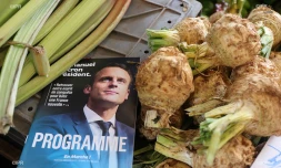 Emmanuel Macron en visite à La Réunion