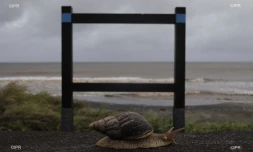 Tempête tropicale Fakir mardi 24 avril 2018