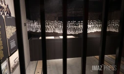 exposition engagisme Ă Stella