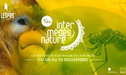 intermèdes natures 