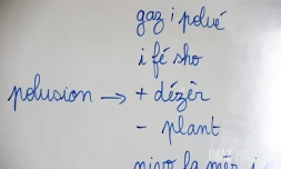 langue créole à l'école