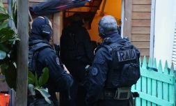 Saint-Pierre : sept personnes interpellées dans le secteur de Ravine Blanche pour trafic de stupéfiants