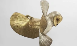 Chouette d'or : en France, la fin imminente d'une chasse au trésor de plus de 30 ans [?]