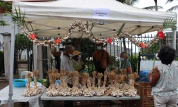 Petite Ile : la Fête de l'ail bat son plein