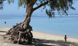 plage de l\'Ermitage