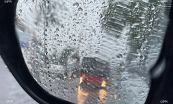 pluie 