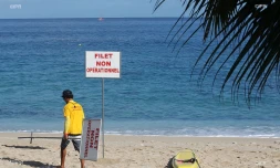 panneaux requins baignade interdite 