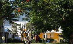 clinique les Flamboyants 
