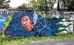 Kmis3 sur le \"MUR\"