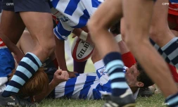 rugby