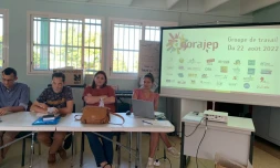 Agorapej : un projet valoriser l'impact associatif sur le territoire réunionnais 