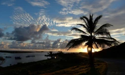 Saint-Martin (Antilles)