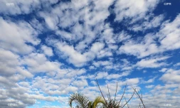 Nuages et ciel bleu 