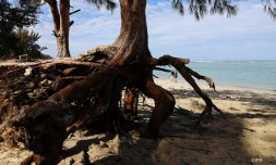 plage de l'hermitage 